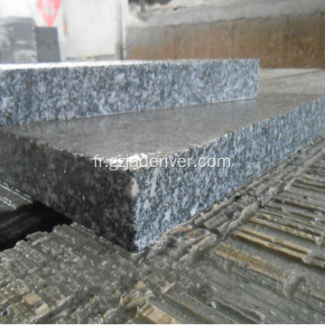 Dalle de pavé de granite à surface de frêne sésame